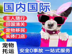 泸州云龙机场托运国际宠物托运 【国